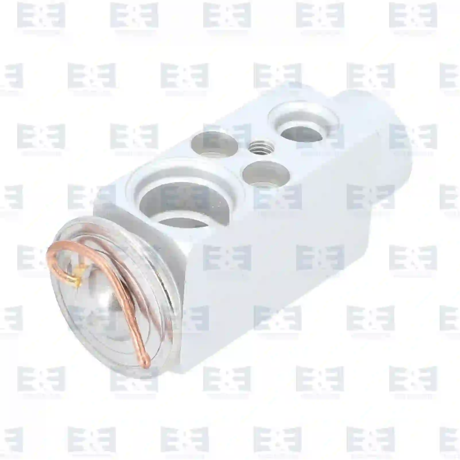 Heating & Air Conditioning Expansion valve, EE No 2E2276496 ,  oem no:81619670008, 81619670010, 0018300584, 1697376, 8150187 E&E Truck Spare Parts | Truck Spare Parts, Auotomotive Spare Parts