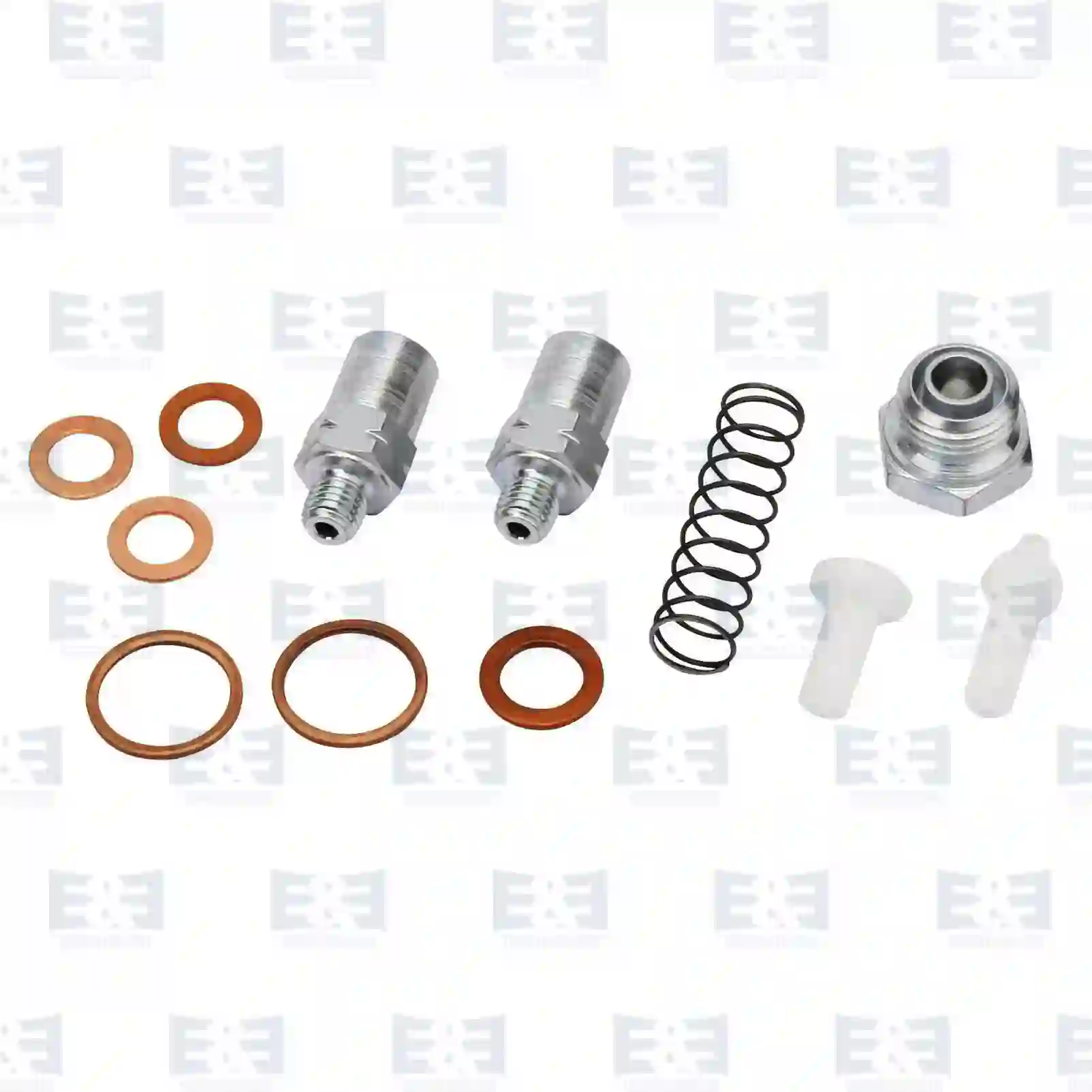 Injection Pump Valve kit, EE No 2E2286831 ,  oem no:7420768698, 20441875, 20768698, ZG02276-0008 E&E Truck Spare Parts | Truck Spare Parts, Auotomotive Spare Parts